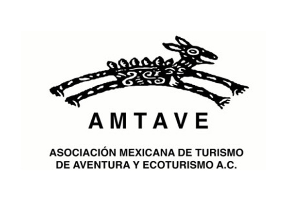 AMTAVE